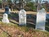 Tombstones: PLACE, Asa, Mary S., William and Jennie E.