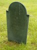 Single stone at Reeds Ferry Cemetery