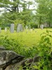 Reeds Ferry Cemetery taken from back end