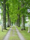 View of Mont Vernon Cemetery NH
