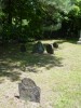 Some of the oldest stones in Plains Cemetery Boscawen (illegible)