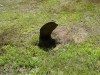 A worn stone in Maplewood Cemetery, Boscawen NH