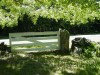 Looking out of Maplewood Cemetery, to Road