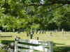 View looking into Maplewood Cemetery, Boscawen NH
